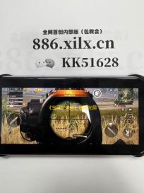 《宝可梦朱紫》刷闪光爬地翅方法教学与机制讲解